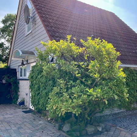 Gudrun 5 Pers Equipped House With Sauna. Dogs Are Welcome! Anjum Exterior foto